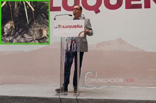 Toluca refuerza sanciones contra quienes tiran basura para frenar plagas e inundaciones